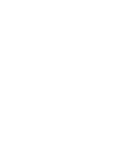 Proleads icon logo